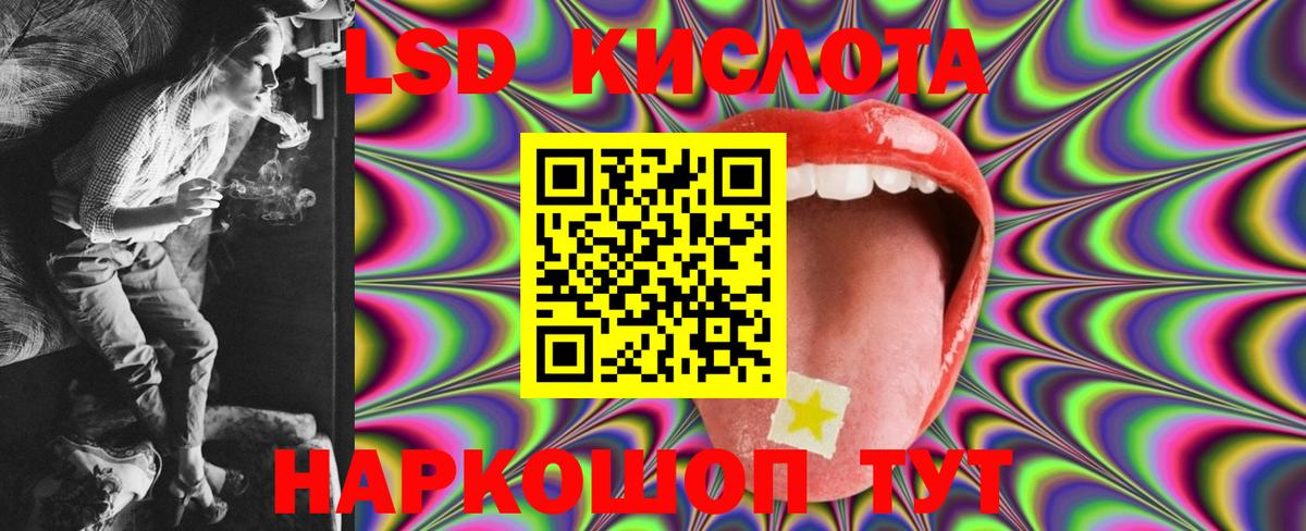 Бошки Шишки Киров