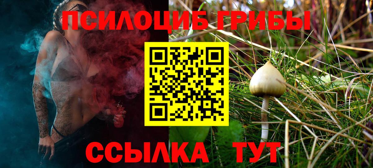 Киров  Псилоцибиновые грибы Magic Shrooms  Галлюциногенные грибы Psilocybine cubensis  Вход с VPN 